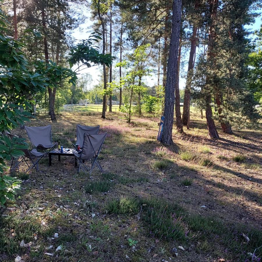Nancay Camping Onlycamp Les Pins מראה חיצוני תמונה